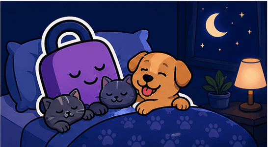 Is It Okay to Sleep With Your Pet? The Truth About Co-Sleeping With Dogs and Cats